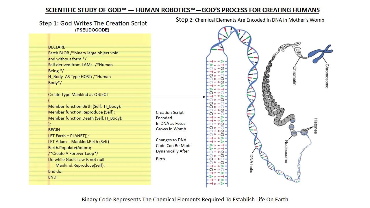 ALLAH's Process For Creating Humans